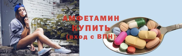 ГАЛЛЮЦИНОГЕННЫЕ ГРИБЫ Лагань