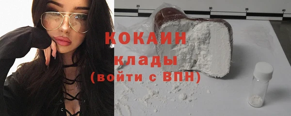ГАЛЛЮЦИНОГЕННЫЕ ГРИБЫ Лагань