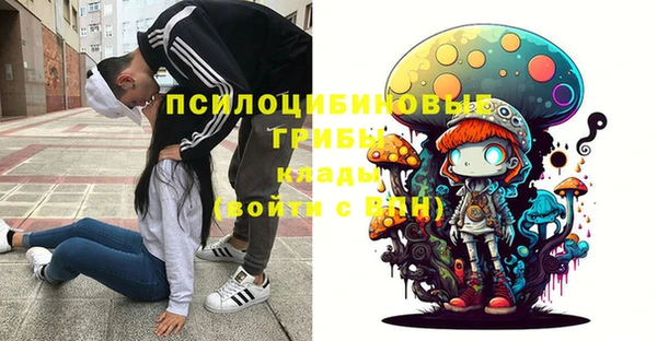 ГАЛЛЮЦИНОГЕННЫЕ ГРИБЫ Лагань