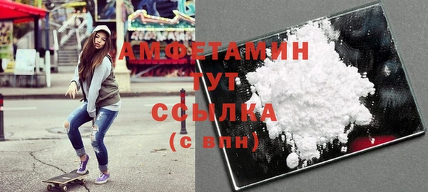 ГАЛЛЮЦИНОГЕННЫЕ ГРИБЫ Лагань