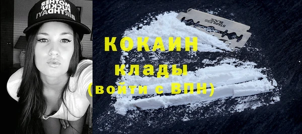 ГАЛЛЮЦИНОГЕННЫЕ ГРИБЫ Лагань