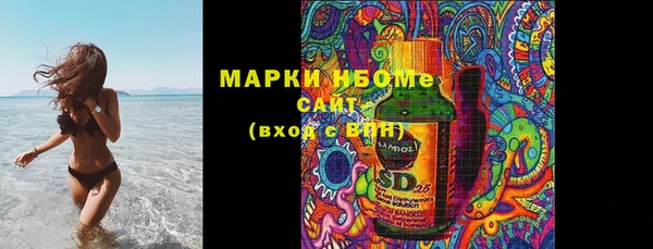 ГАЛЛЮЦИНОГЕННЫЕ ГРИБЫ Лагань