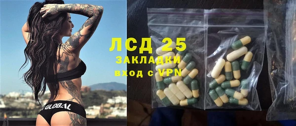 ГАЛЛЮЦИНОГЕННЫЕ ГРИБЫ Лагань