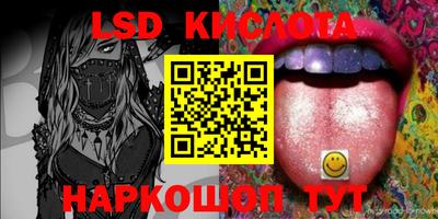 гашик Будённовск