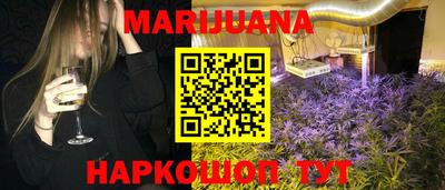 гашик Будённовск