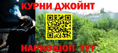 Альфа ПВП Бийск