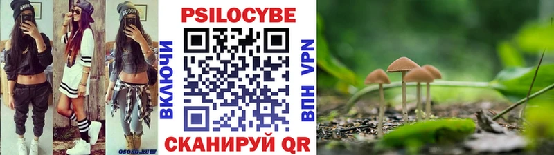 Псилоцибиновые грибы GOLDEN TEACHER  Дмитров 