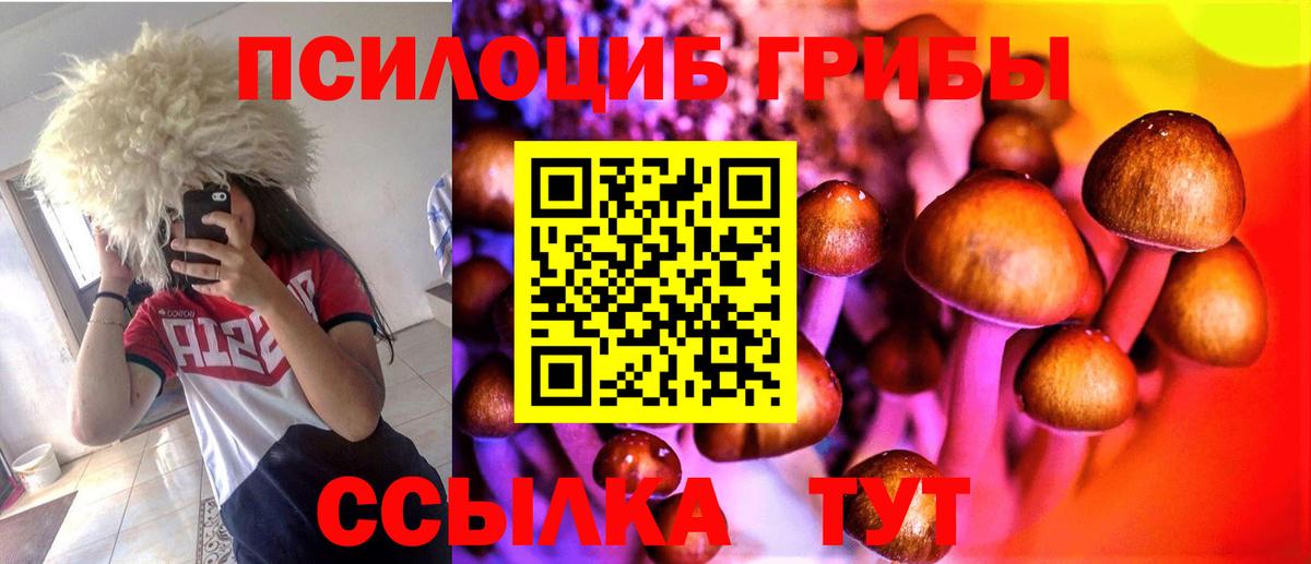 Галлюциногенные грибы MAGIC MUSHROOMS Дмитров
